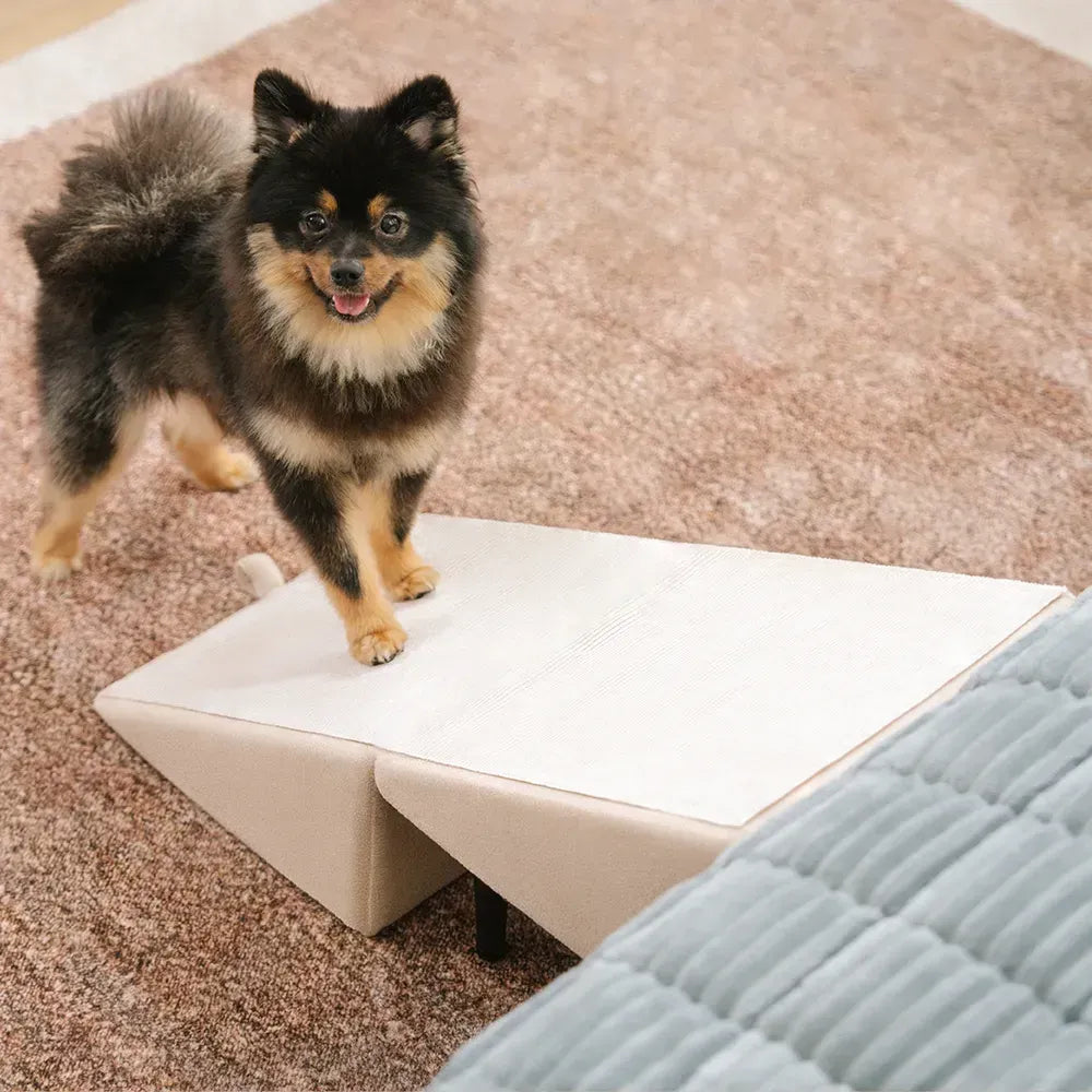 2-in-1 Convertible Wooden Dog Ramp and Step Stool for Beds & Couches