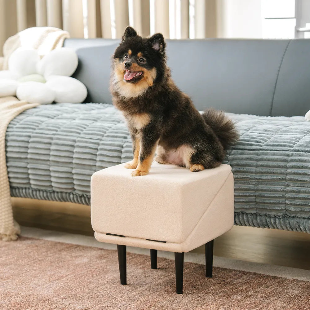 2-in-1 Convertible Wooden Dog Ramp and Step Stool for Beds & Couches