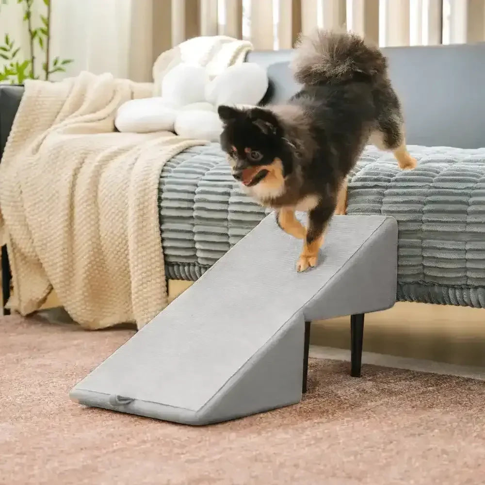 2-in-1 Convertible Wooden Dog Ramp and Step Stool for Beds & Couches