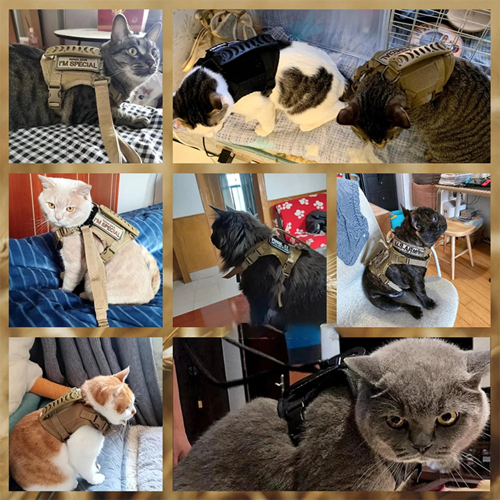 Tactical Cat Harness with Leash and Patches