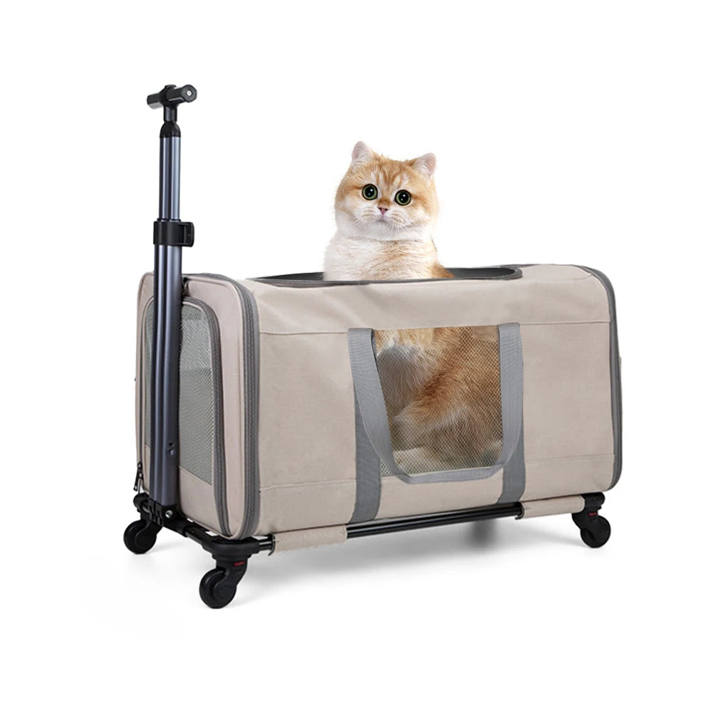 Airline-Approved Double Cat Travel Trolley with Wheels